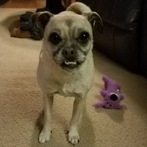 Meet your Posher, Angie